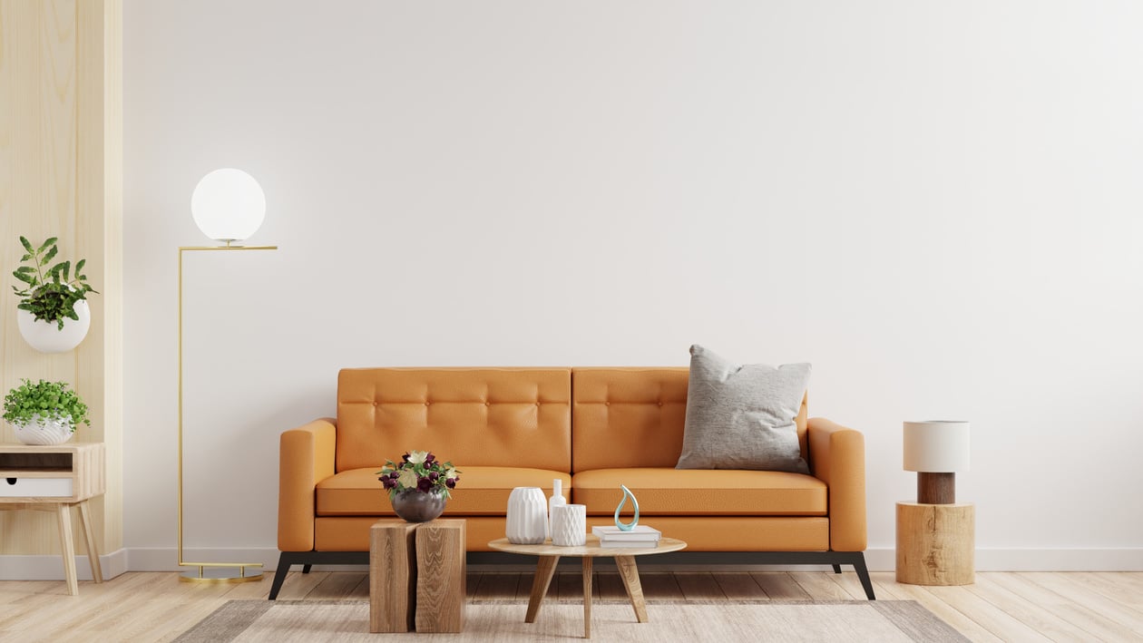 Leather Sofa in a Modern Living Room 